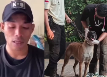 Viral Penjaga Keamanan Pukul Anjing di Plaza Indonesia