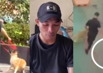 Video Viral Petugas Keamanan Pukul Anjing K-9 Picu Kontroversi