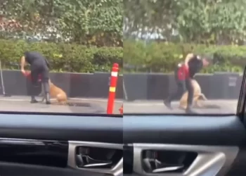 Permintaan Maaf Terkait Video Viral Security Pukul Anjing