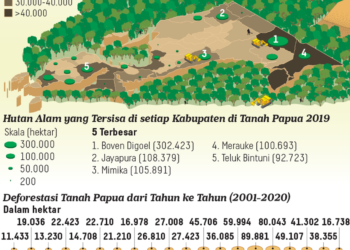 All Eyes On Papua: Gerakan Selamatkan Hutan Papua