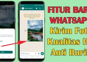 Kirim Foto Lebih Jernih di WhatsApp dengan Fitur Baru Foto HD