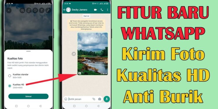 Kirim Foto Lebih Jernih di WhatsApp dengan Fitur Baru Foto HD