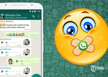 Begini Cara Hindari Grup WhatsApp yang Tidak Diinginkan