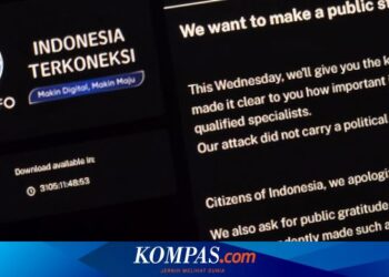 Layanan Publik Pulih Berkat Kebaikan Hacker Brain Cipher