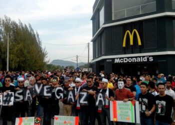 Krisis Telur di Australia Akibat Flu Burung: McDonald's Rugi