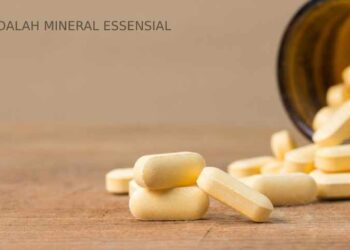 Zinc: Mineral Essensial untuk Kesehatan Tubuh