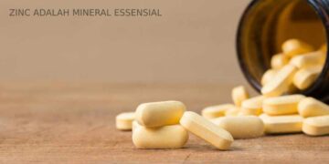 Zinc: Mineral Essensial untuk Kesehatan Tubuh
