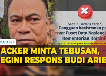 Hacker Minta Maaf dan Bakal Bebaskan Data Pemerintah!