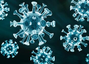 Wabah Virus West Nile Menerjang Israel: Belum Ada Obatnya