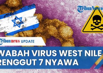 Mampus Virus West Nile Menyerang Israel: Belum Ada Obatnya
