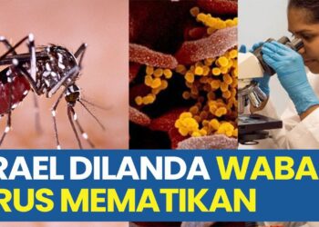 Virus West Nile di Israel: Sudah 7 Orang Meninggal