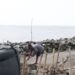Banjir Rob Ancam Pesisir Indonesia pada Bulan 21 Juli 2024