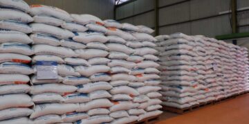 Mari Kurangi Boros Pangan: Cukupi Kebutuhan Beras Negeri