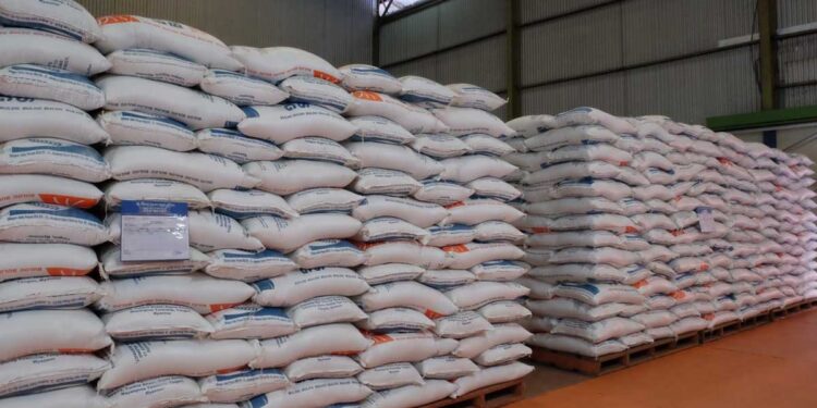 Mari Kurangi Boros Pangan: Cukupi Kebutuhan Beras Negeri